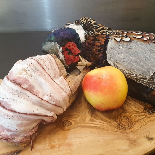 fazant_haan_-_web_1324897825