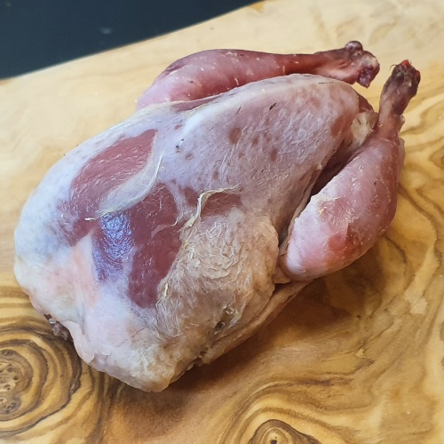 kwartel_-_web_764028998