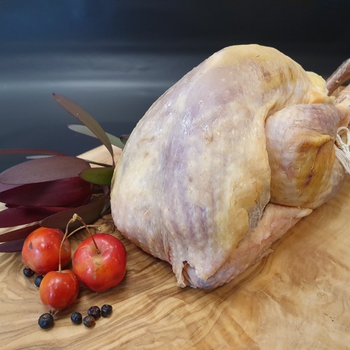 parelhoen_heel_-_web_696483050