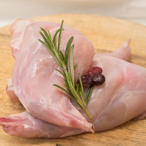 tam_konijn_bout_-_web